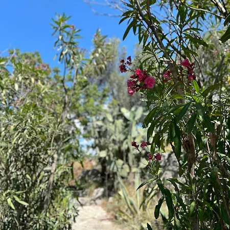 Dardin Βίλα Donje Celo