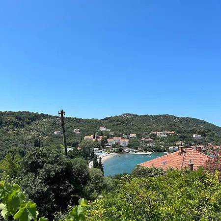 Villa Dardin Donje Celo